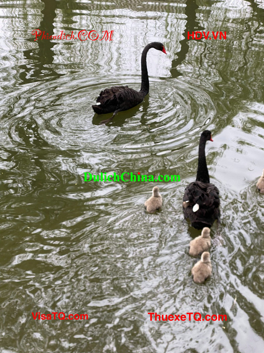 Khám phá Viên Minh Viên Bắc Kinh cùng hướng dẫn viên nói tiếng Việt.