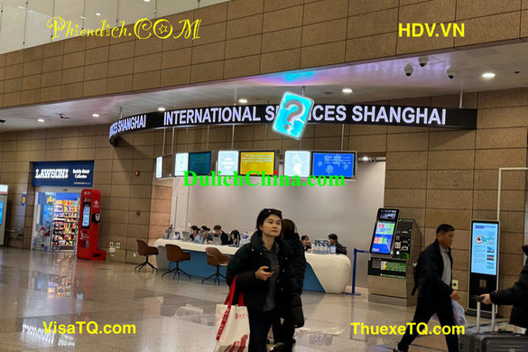 Thuê Hướng Dẫn Viên Du Lịch Cho Gia Đình Việt Nam Khám Phá Thượng Hải 2026