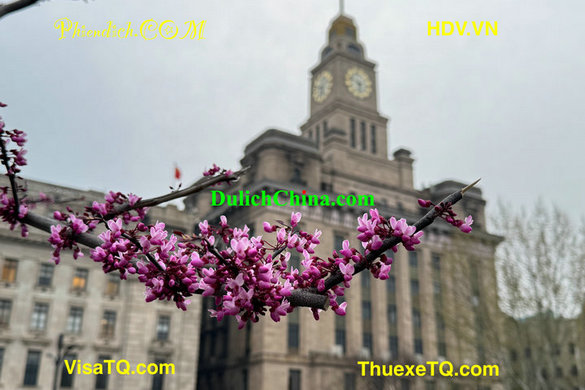 Thuê Hướng Dẫn Viên Du Lịch Nói Tiếng Việt Tại Thượng Hải: Giải Pháp Tối Ưu Cho Chuyến Đi Trọn Vẹn