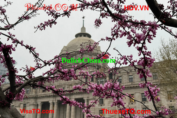 Thuê Hướng Dẫn Viên Du Lịch Tại Thượng Hải Cho Gia Đình Việt: Bí Quyết Cho Chuyến Đi Trọn Vẹn