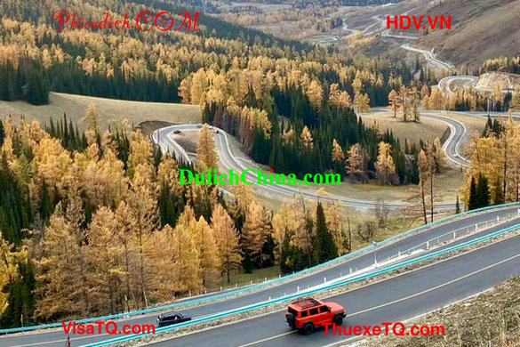 Vi Vu Tân Cương 2026 Mùa Thu: Thuê HDV Tiếng Việt Người Trung Đồng Hành
