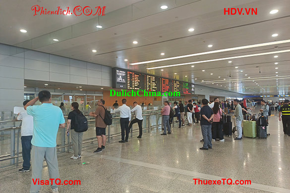 Dịch Vụ Cho Thuê Hướng Dẫn Viên Tiếng Việt Thượng Hải: Hành Trình Trọn Vẹn Cho Gia Đình Việt